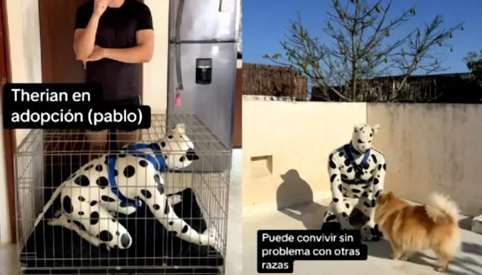 Caso viral de therian de 42 años que busca adopción por cuidados especiales