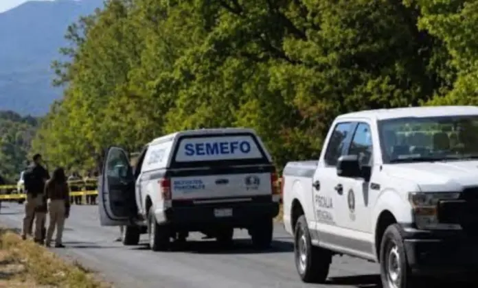 SEMEFO MICHOACÁN