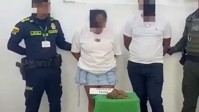 Detenidos por tráfico animal.